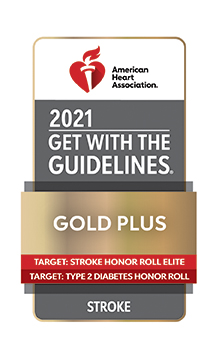 Stroke Gold Plus Award 2021 Logo