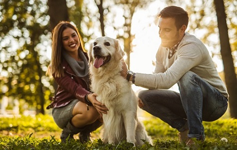 allergy-couple-park-dog-475x330