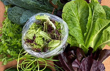 Photo of fresh lettuce and other produce on table