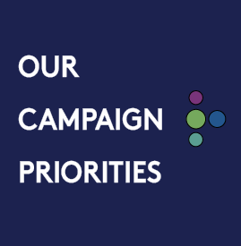 Our campaign priorities button