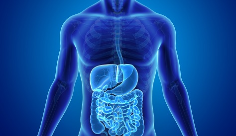 Gastro Chart