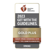 2023 American Heart Association 2023 Gold Plus Stroke Award