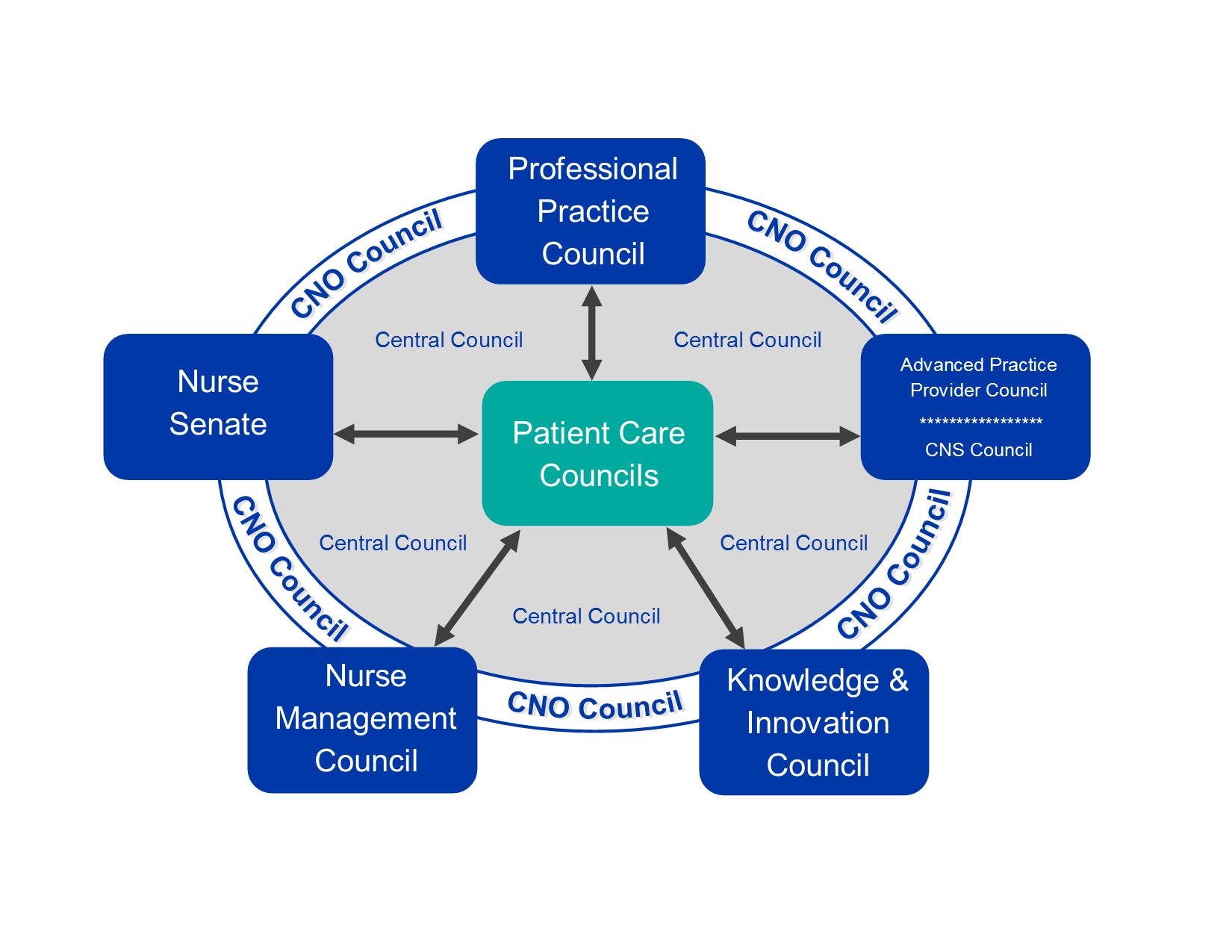 nursing-shared-governance-2018