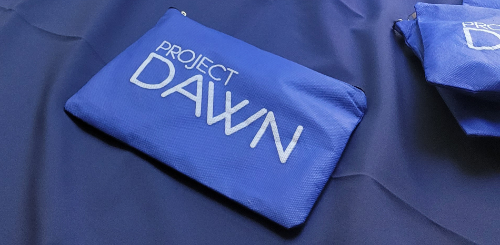 Project Dawn Kit