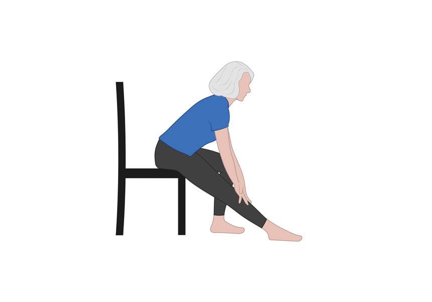 hamstring