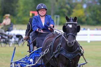 Chrissy Aitken driving a horse-drawn carriage