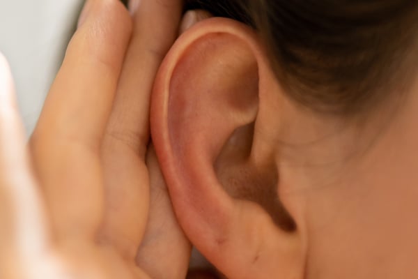 Close-up of an ear