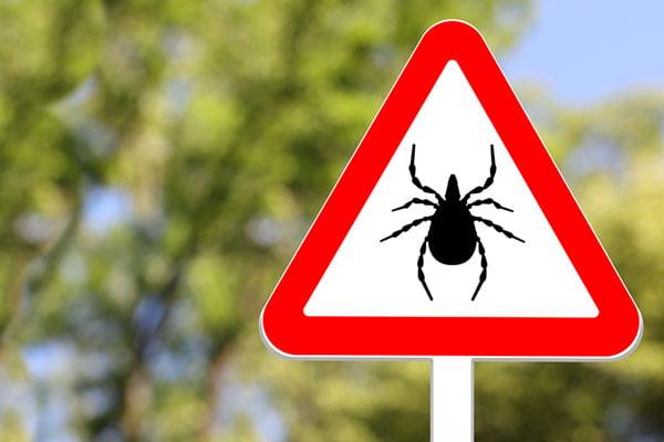 A warning signpost with a silhouette of a tick