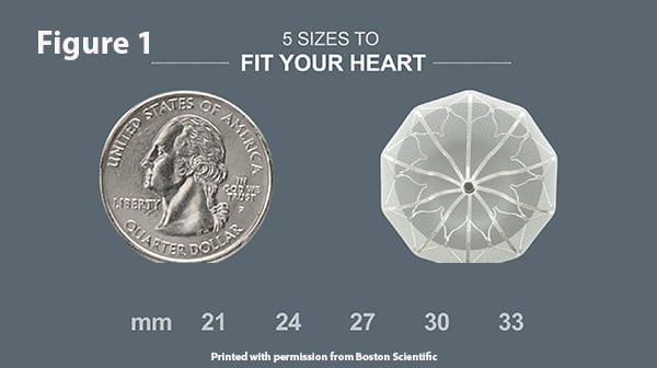 Illustration of how the Watchman Device compares in size to a quarter