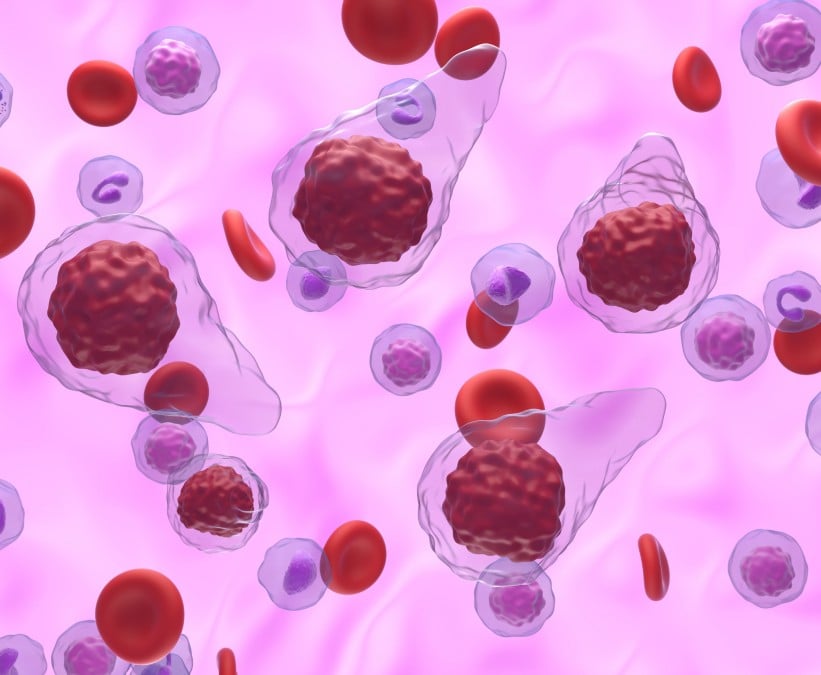 Scientists Uncover New Treatment for Bone Marrow Cancer