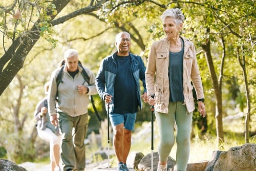 seniors hiking in the woods