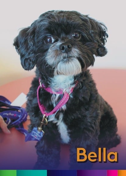 Bella