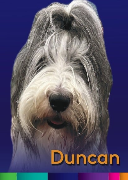 Duncan 