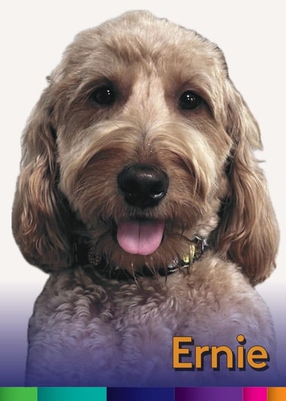 Ernie