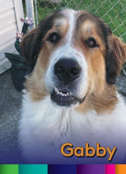 Gabby