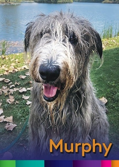 Murphy