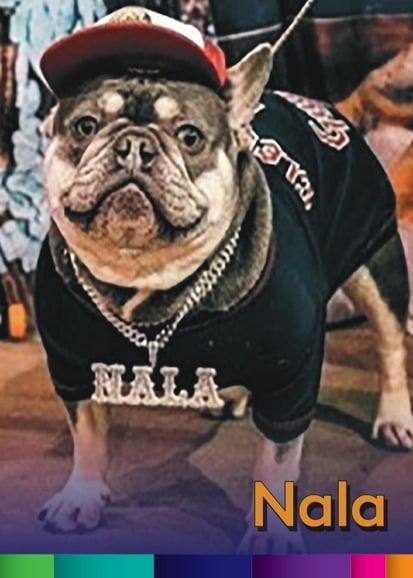 Nala 