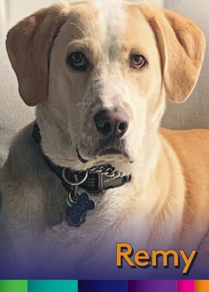 Remy