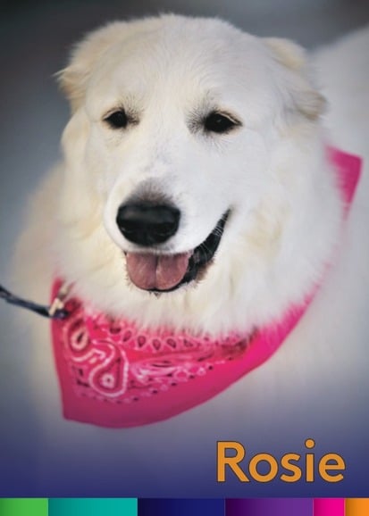 Rosie