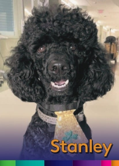 Stanley 